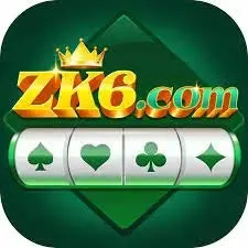 zk6 APK Bingo